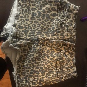 Cheetah shorts